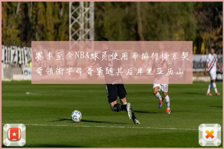 赛季至今NBA球员使用率排行榜东契奇领衔字母哥紧随其后库里亚历山大表现抢眼