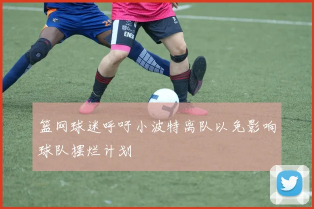 篮网球迷呼吁小波特离队以免影响球队摆烂计划