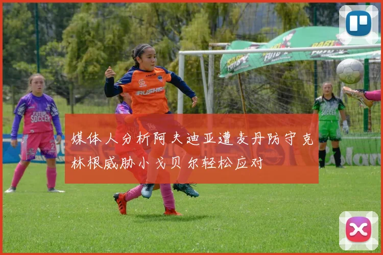 媒体人分析阿夫迪亚遭麦丹防守克林根威胁小戈贝尔轻松应对